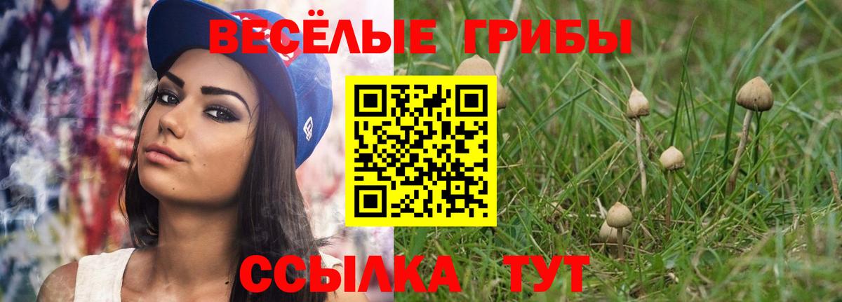 Братск  Галлюциногенные грибы Psilocybine cubensis  Псилоцибиновые грибы Magic Shrooms  Вход с VPN 