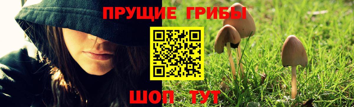 Псилоцибиновые грибы GOLDEN TEACHER Братск